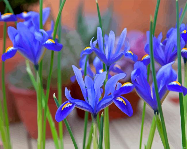 Bloom Blue Irises Paint By Numbers.png