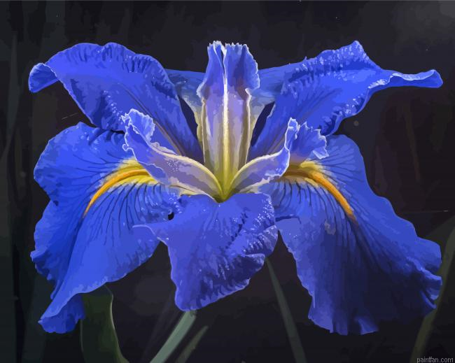 Bloom Blue Irises Rose Paint By Numbers.png