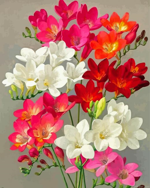 Blooming Freesia Flowers Paint By Numbers.png