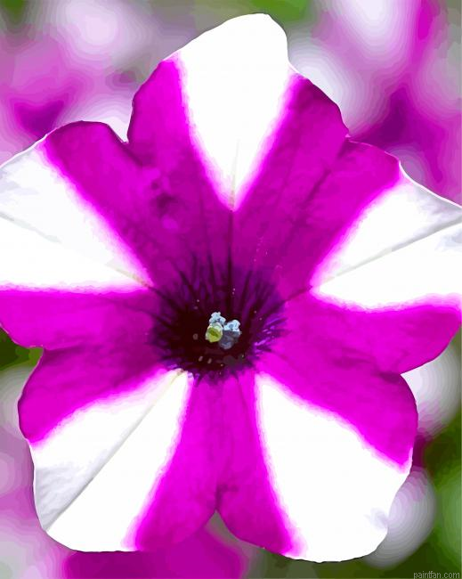 Blooming Petunia Paint By Number.png