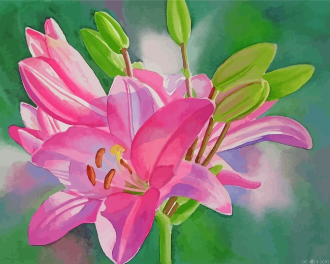 Blooming Pink Lilies Paint By Number.png