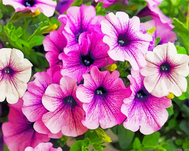 Blooming Purple Petunia Paint By Number.png