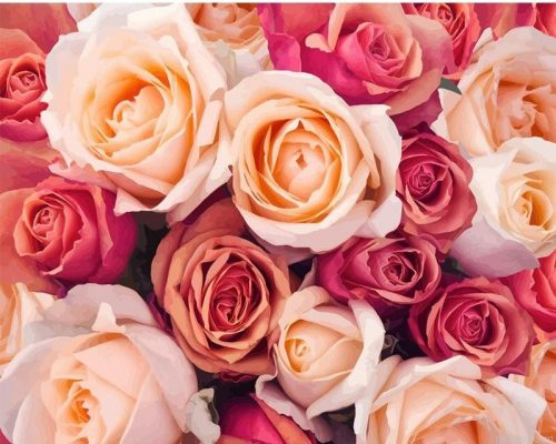 Blooming Roses Paint By Numbers.png