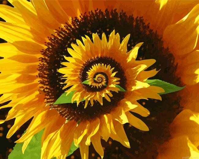 Blooming Spiral Sunflower Paint By Numbers.png