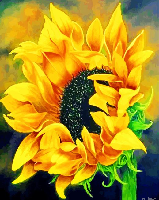 Blooming Sunflower Paint By Number.png