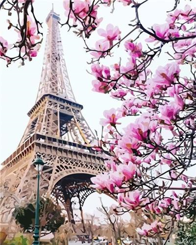 Blossom In Paris Paint By Numbers.png