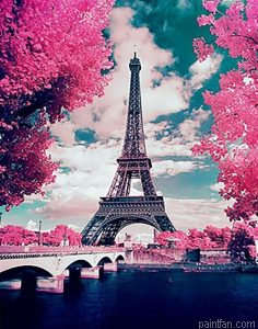 Blossoms In Paris Paint By Numbers.png