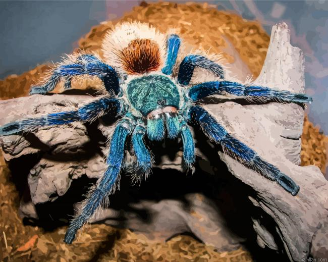 Blue And Brown Spider Paint By Numbers.png