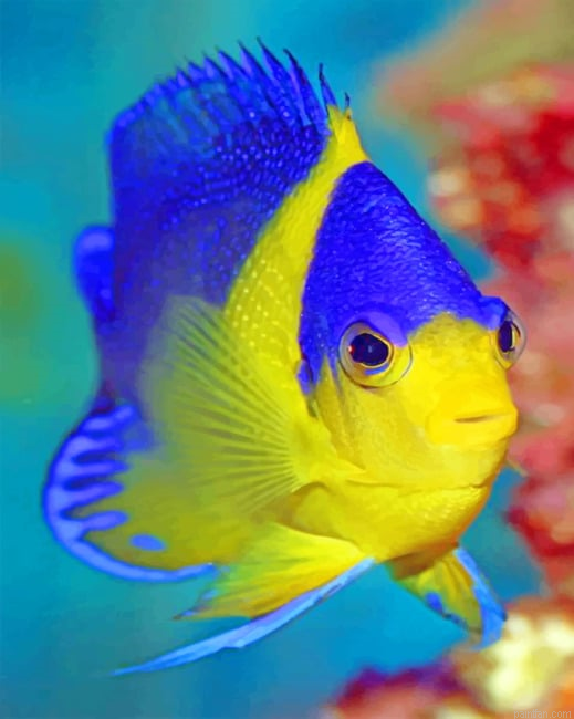 Blue And Golden Fish Underwater Sea Inhabitants Paint By Numbers.png