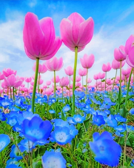 Blue And Pink Flowers Paint By Numbers.png