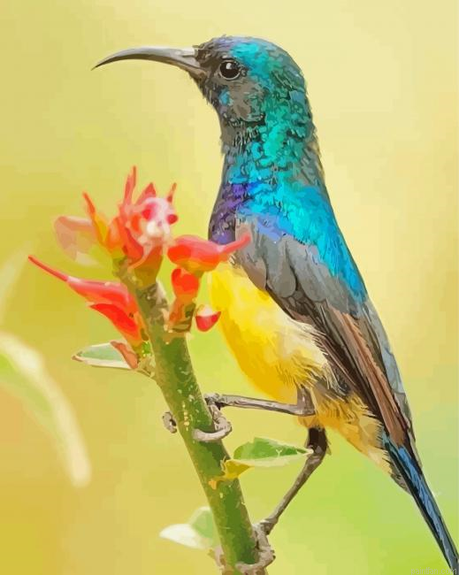 Blue And Yellow Sunbird Paint By Numbers.png
