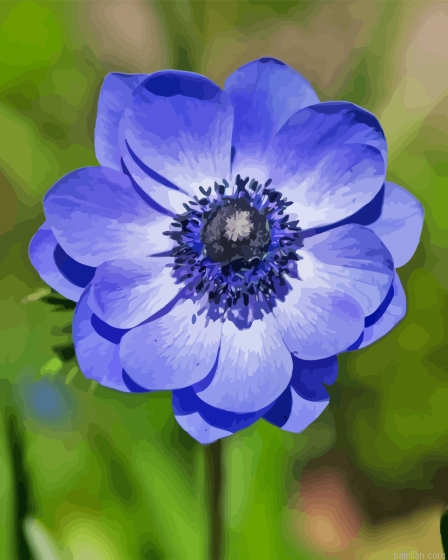 Blue Anemone Paint By Numbers.png