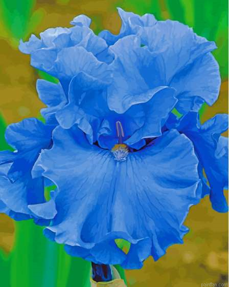 Blue Bearded Iris Paint By Numbers.png
