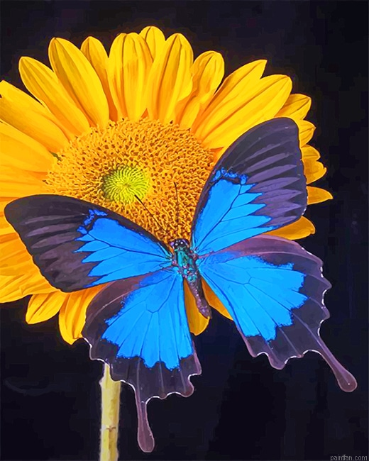 Blue Butterfly And A Sunflower New Paint By Numbers.png
