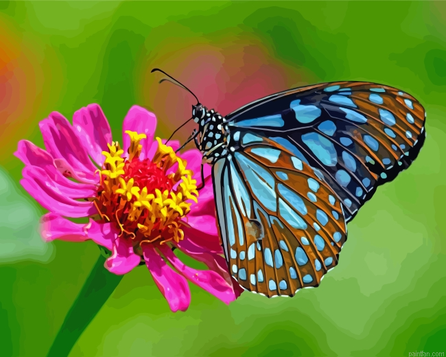 Blue Butterfly On Flower Paint By Number.png