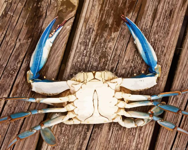 Blue Crab Paint By Numbers.png