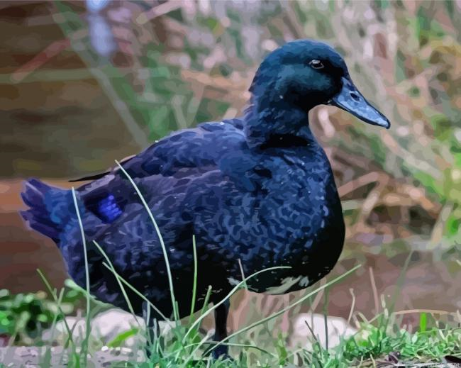 Blue Duck Paint By Numbers.png