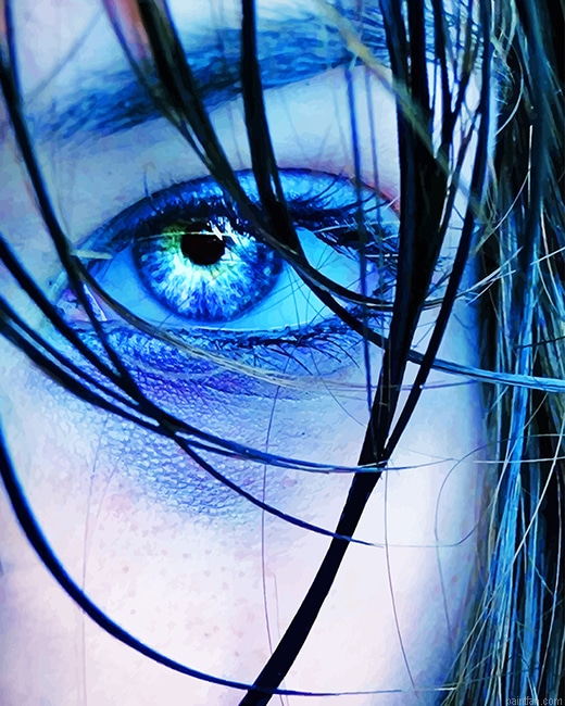 Blue Eye New Paint By Numbers.png
