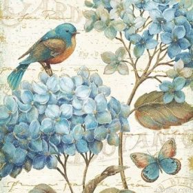 Blue Garden Birds Paint By Numbers.png