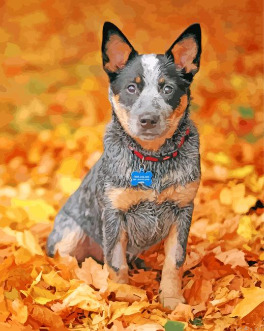Blue Heeler Pet Paint By Number.png