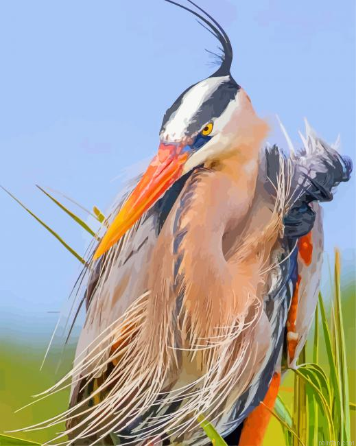 Blue Heron Bird Paint By Numbers.png