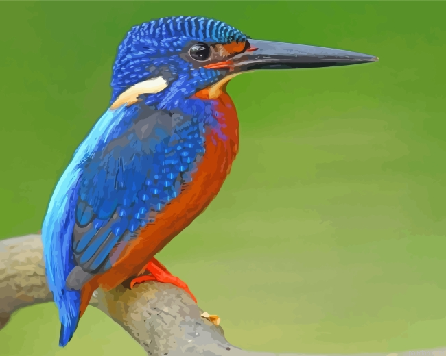 Blue Kingfisher Bird Paint By Number.png