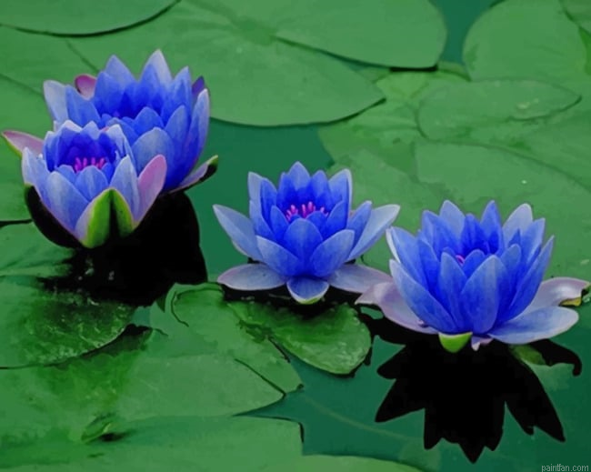 Blue Lotus Flowers New Paint By Numbers.png
