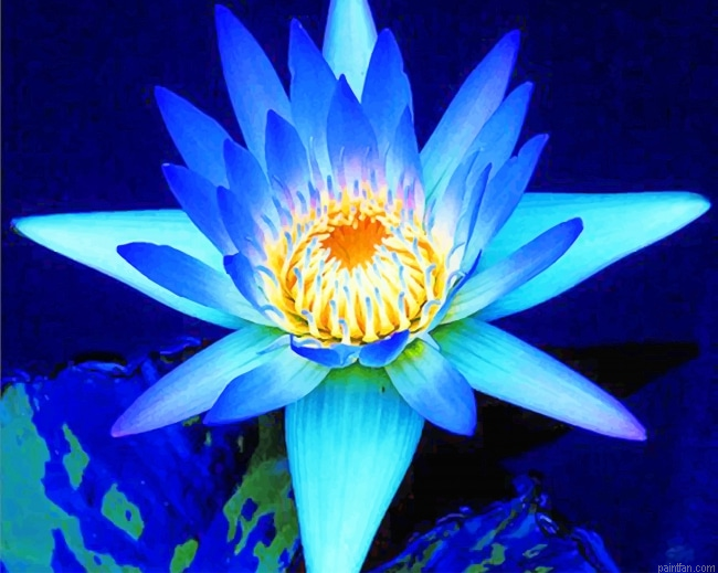Blue Lotus New Paint By Numbers.png