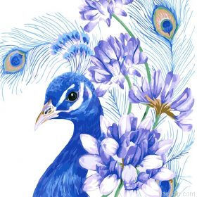 Blue Peacock Bird Paint By Numbers.png