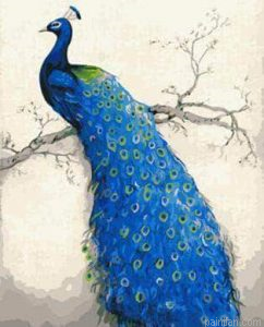 Blue Peacock Paint By Numbers.png