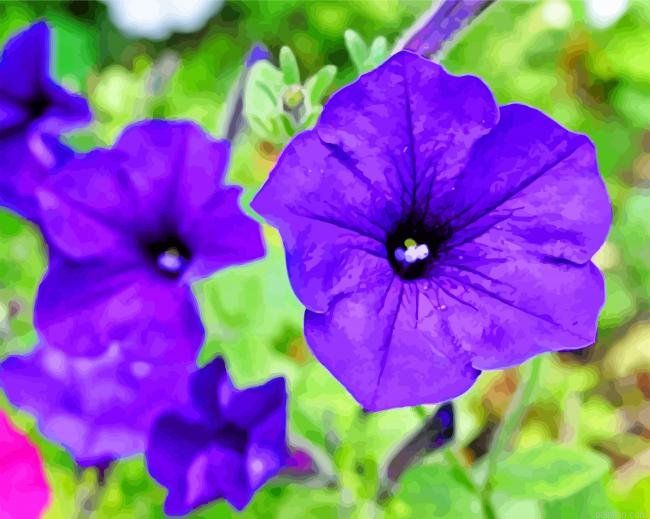Blue Petunia Paint By Number.png