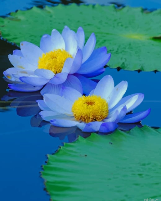 Blue Sacred Lotus New Paint By Numbers.png