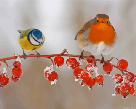 Blue Tit And Robin Birds Paint By Numbers.png