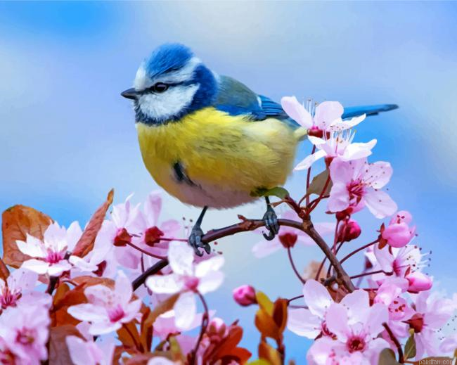 Blue Tit Paint By Numbers.png