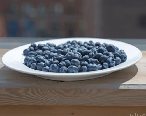 Blueberry Plate On Patio Paint By Number.png