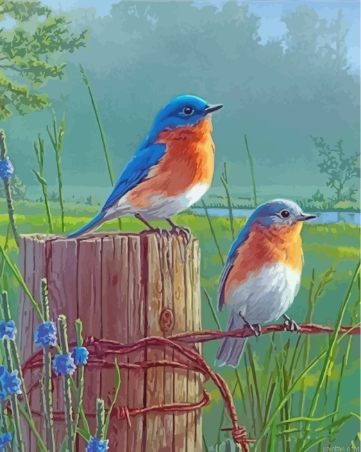 Bluebirds On Wire Paint By Number.png