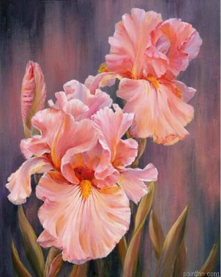 Blushing Flowers Paint By Numbers.png