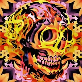 Bohemian Skull Paint By Numbers.png