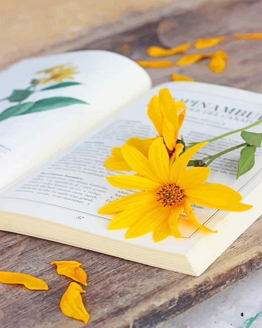 Book And Flower New Paint By Numbers.png