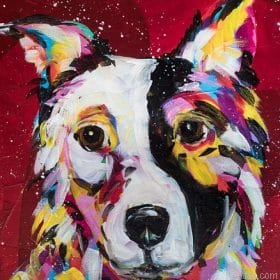Border Collie Dog Paint By Numbers.png