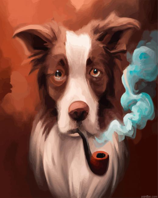 Border Collie Smoking Paint By Numbers.png