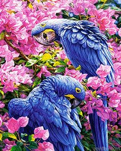 Bougainvillea Parrots Paint By Numbers.png