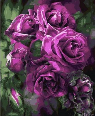 Bouquet Of Flower Paint By Numbers.png