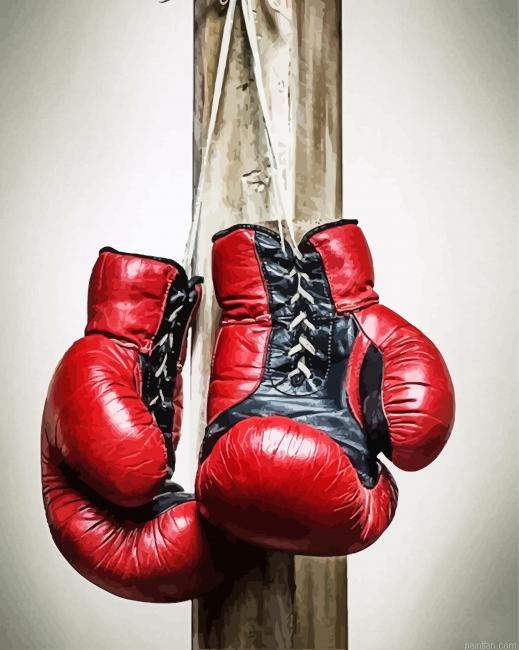 Boxing Gloves Paint By Numbers.png