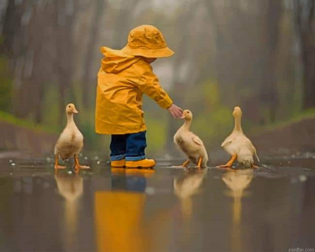 Boy Playing With Ducks New Paint By Numbers.png
