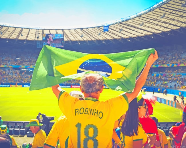 Brazil Stadium Paint By Numbers.png