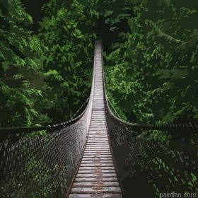 Bridge On Amazon Paint By Numbers.png