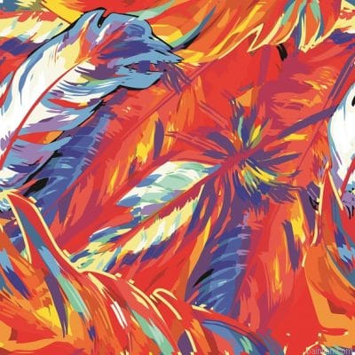 Bright Colored Feathers Paint By Numbers.png
