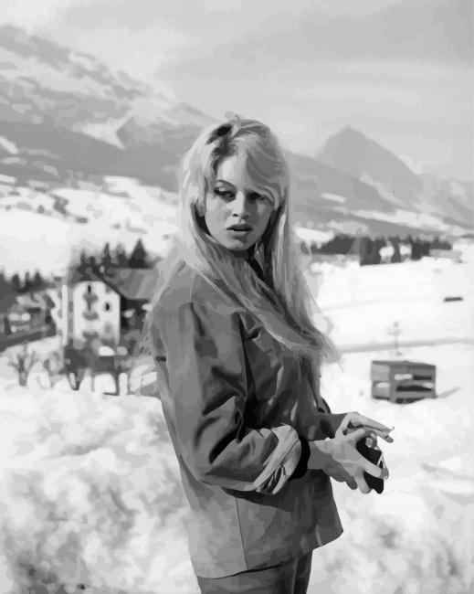 Brigitte Bardot Paint By Numbers.png