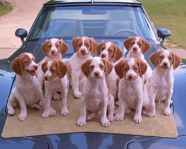 Brittany Puppies Paint By Numbers.png